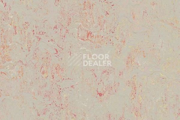 Линолеум Marmoleum Decibel on Order 343235 fruit punch фото 1 | FLOORDEALER